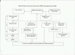 Организация структуры управления МКОУ Новоярковской СОШ